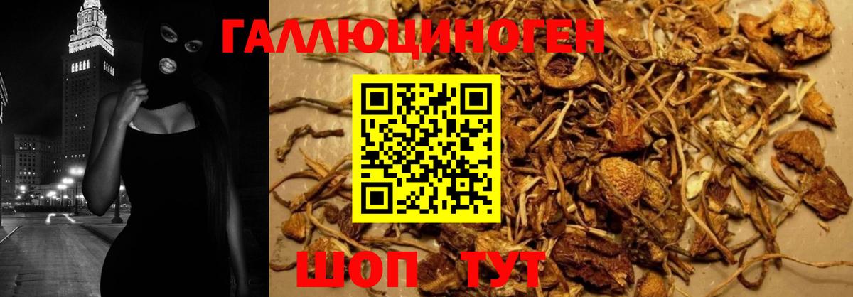 Псилоцибиновые грибы Magic Shrooms  Вход с VPN  Галлюциногенные грибы мицелий  Орёл 
