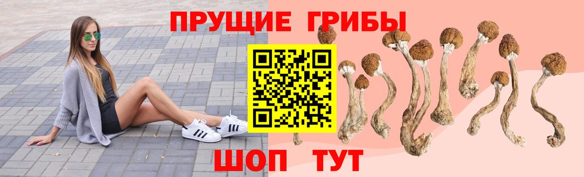 Галлюциногенные грибы Psilocybe Орёл